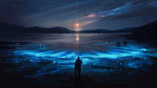 Night sky lake moon stars - bioluminescence free wallpaper
