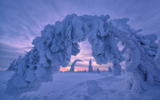 Snow arch winter pink sky - an abstract sculpture free wallpaper