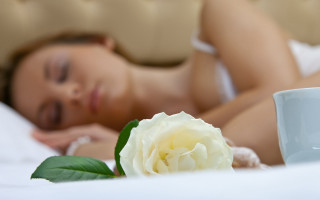 Woman laying bed white rose - bed free wallpaper