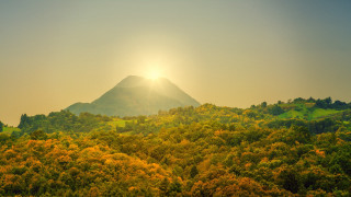 Mountain sunset autumn leaves forest - yellow flower free wallpaper