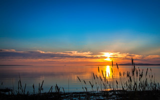 Sunset water tallgrass distantisland mattepaining - bascove free wallpaper for desktop