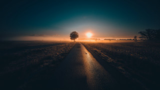Sunrise foggy road tree berndfasching - the side of it free wallpaper