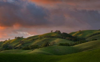 Green hills trees clouds sunset - dramatic light free wallpaper