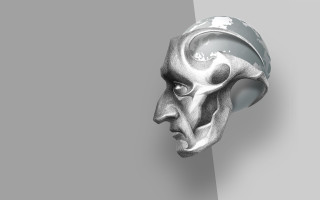 White mask gray background haeckel - a white mask free wallpaper