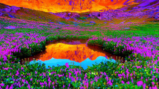 Flower field mountain lake reflection - a reflection of the sky free wallpaper for desktop