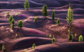 Trees purple hills blue sky - affinity photo free wallpaper