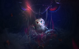 Owl darkroom redblue glow fantasy - a blue light free wallpaper