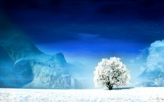 Lone tree snowy field mountains - a lone tree in a snowy field free wallpaper