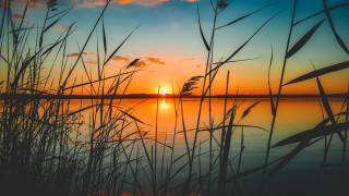 Sunset lake tallgrass orange sky 2 - orange sky in the background free wallpaper