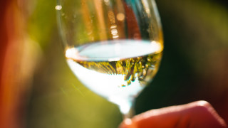 Person holding wine glass shallow - a wine glass free wallpaper
