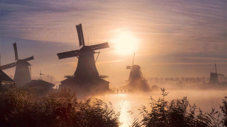 Windmills river forest mist city - mist free wallpaper for desktop