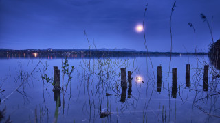 Full moon lake reeds dock - a full moon free wallpaper for desktop