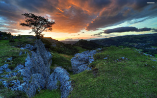 Tree hill sunset clouds sky - a green field below free wallpaper for desktop