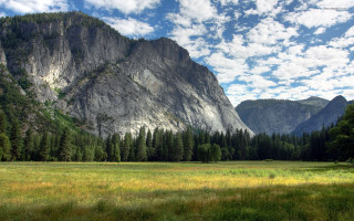 Mountain meadow trees blue sky 2 - ansel adams free wallpaper for desktop