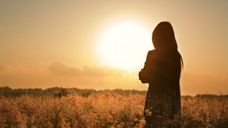 Woman field sunset backlighting cloudy - the sun setting behind her free wallpaper