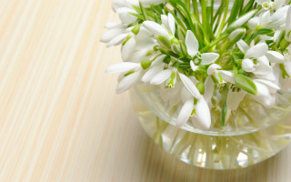 Vase white flowers wooden table 2 - a wooden table top free wallpaper