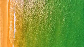 Beach green yellow white sand - andreas gursky free wallpaper