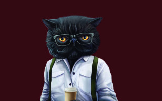 Black cat glasses coffee red - behance hd free wallpaper