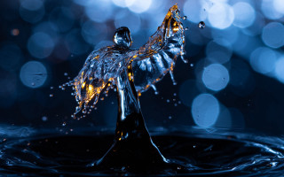 Water droplet bird abstract bokeh - a water droplet free wallpaper for desktop