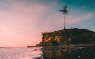 Palm tree rocky beach sunset - cinematic landscape free wallpaper for desktop