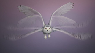 White owl flying purple background - ultra realistic digital art free wallpaper
