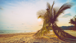 Palm beach sunset clouds ocean - a few cloud free wallpaper for desktop