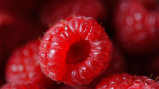 Raspberries water droplets macro photorealism - berry free wallpaper for desktop