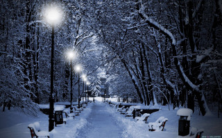 Snowy path bench streetlight trees - evgeny lushpin free wallpaper