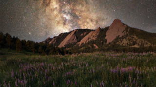Mountain flower field starry night - star above free wallpaper for desktop