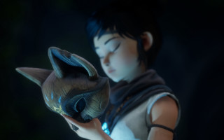 Boy vase cat solo blurry - young free wallpaper for desktop