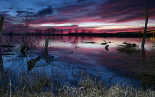 Sunset lake dead trees mystical - dead free wallpaper for desktop