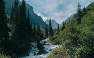 River forest rocks cloudy day 2 - nature free wallpaper