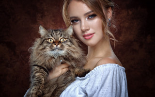 Woman cat blonde blue eyes - a brown wall free wallpaper for desktop