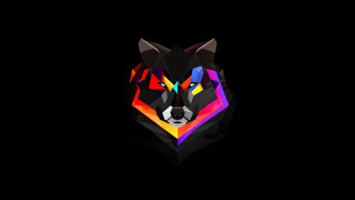 Colorful animal head black background - the right side of the image free wallpaper