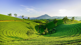 Green field mountain blue sky - free landscape wallpaper