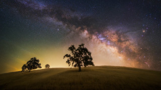 Field trees night sky stars - a few star free wallpaper