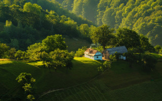 Lush green hillside house winding - a lush green hillside free wallpaper