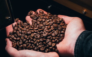 Coffee beans hands cell phone - a person holding free wallpaper for desktop