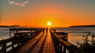 Bridge sunset water people art - the bridge free wallpaper