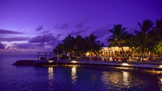 Dock restaurant palm trees night - a dock free wallpaper