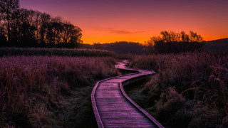 Wooden path sunset purple sky - a sunset in the background and trees free wallpaper