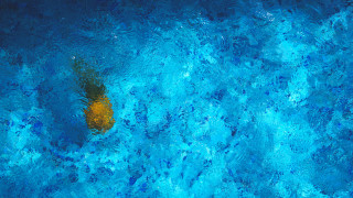 Yellow floating object blue pool - a blue pool of water free wallpaper