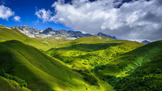 Green valley mountains clouds trees 2 - a few green tree free wallpaper