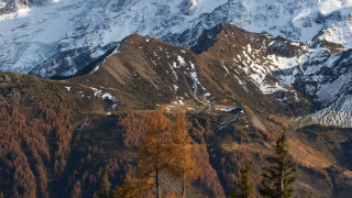 Mountain range snow trees yellow - a few yellow leaf free wallpaper
