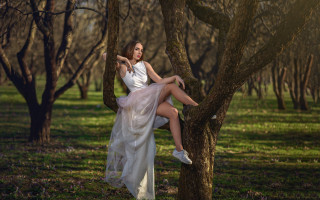 Woman white dress tree park - grass and trees free wallpaper