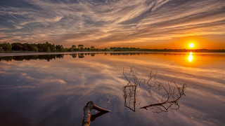 Lake tree branch sunset clouds - the water and a sunset in the background free wallpaper