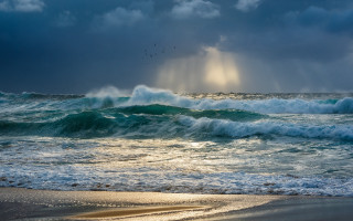 Beach waves sunbeam birds australian - crepuscular free wallpaper for desktop