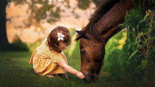 Girl horse flower outdoors nature - her hair and a flower free wallpaper