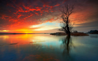 Mystical tree lake sunset clouds - a colorful sky in the background free wallpaper