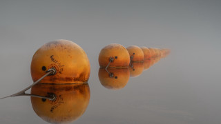 Oranges lake foggy land art - a foggy day free wallpaper